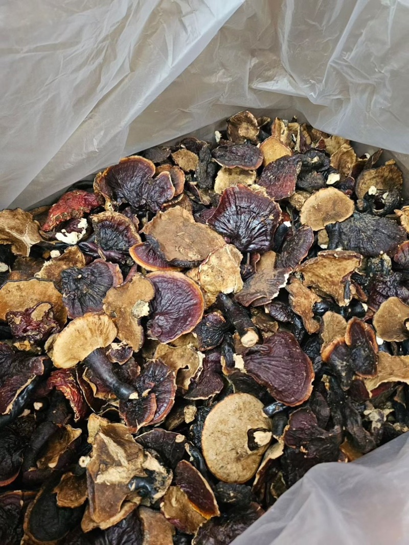 西藏野生灵芝干货中药材泡茶煲汤泡酒养生