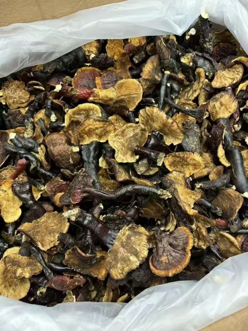西藏野生灵芝干货中药材泡茶煲汤泡酒养生