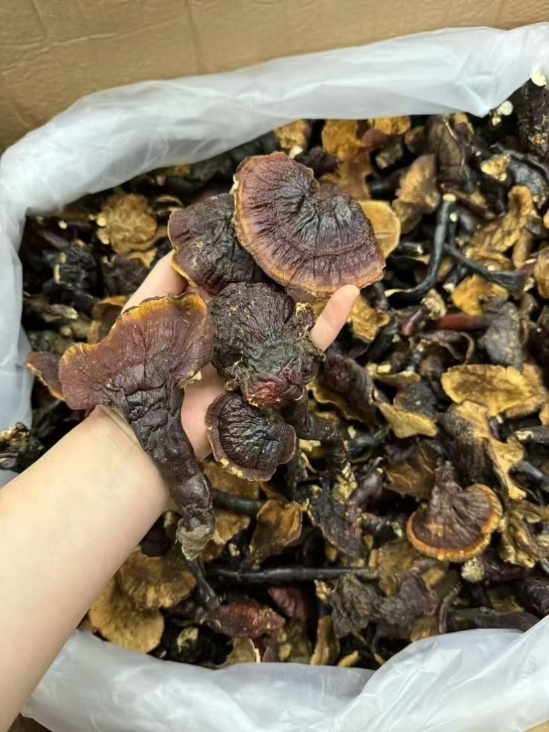 西藏野生灵芝干货中药材泡茶煲汤泡酒养生