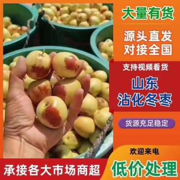 《诚信老店》推荐沾化冬枣支持电商平台一件代发可发货