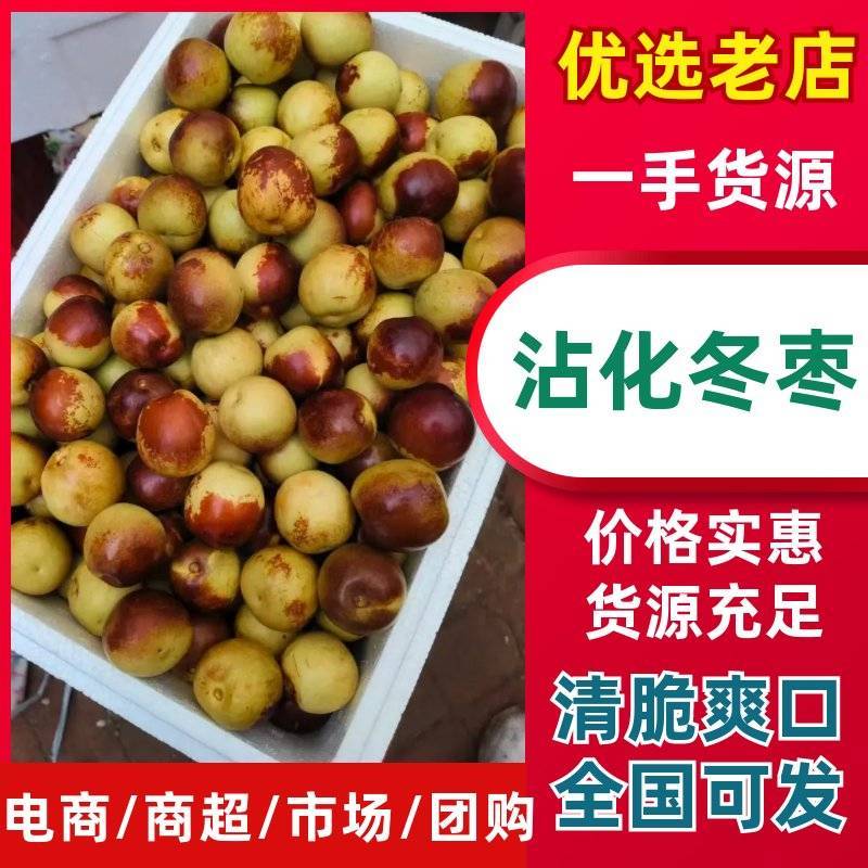 【推荐】山东早脆王鲜枣大量现货上市全国发货一条龙服务