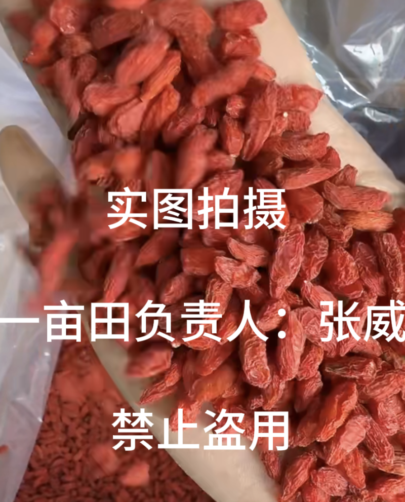 精品宁夏枸杞，无硫精品货220粒/两，不卖低质量
