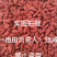 精品宁夏枸杞，无硫精品货220粒/两，不卖低质量