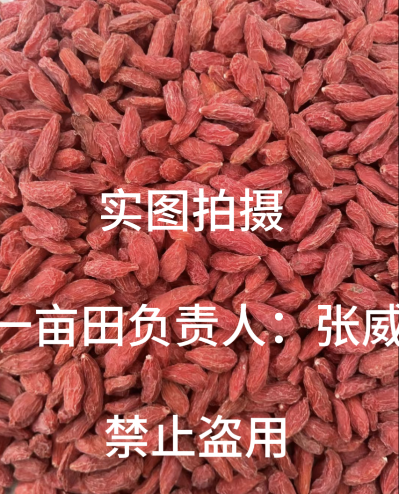 精品宁夏枸杞，无硫精品货220粒/两，不卖低质量
