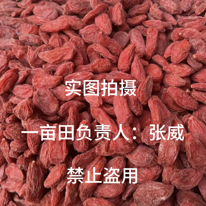 精品宁夏枸杞，无硫精品货220粒/两，不卖低质量