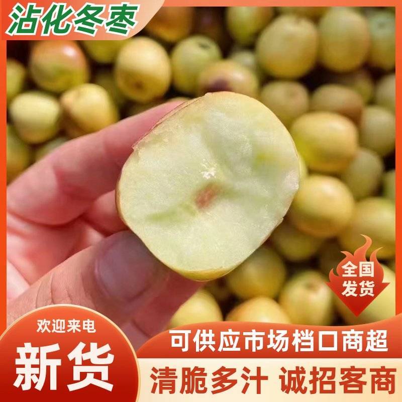 沾化早脆王鲜枣枣脆王现摘现发全国发货保质保量