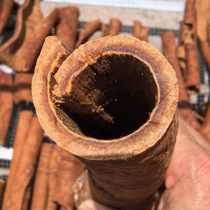 广西百年老树油桂增香卤肉卤水专用批发零售