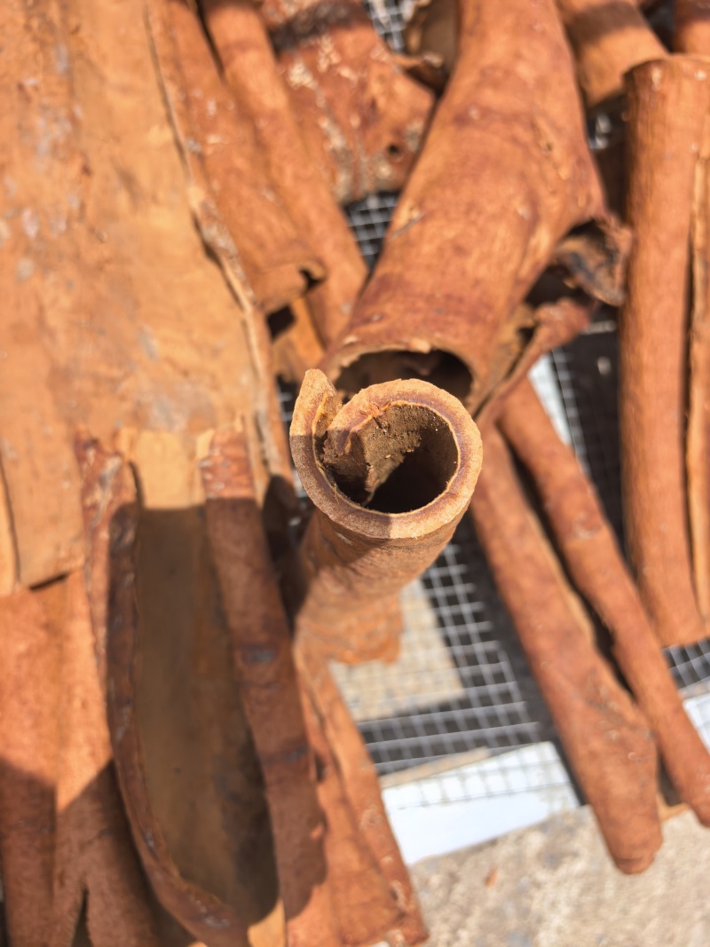 广西百年老树油桂增香卤肉卤水专用批发零售
