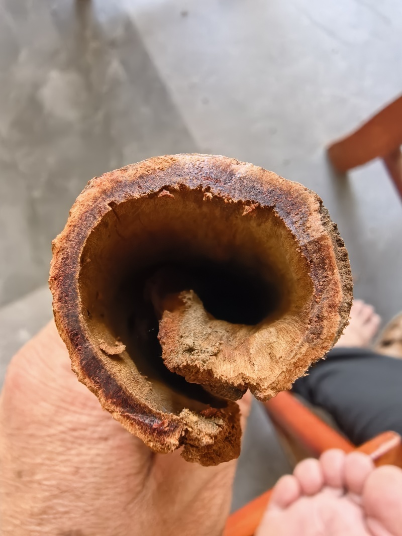 广西百年老树油桂增香卤肉卤水专用批发零售