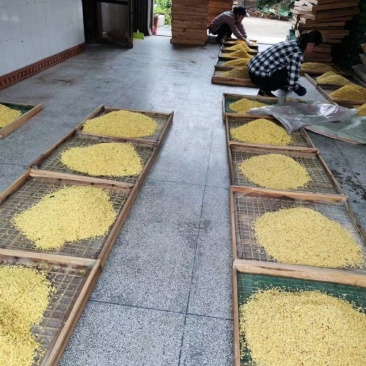 干桂花(代加工)，金桂，银桂，丹桂(工厂一手批发)