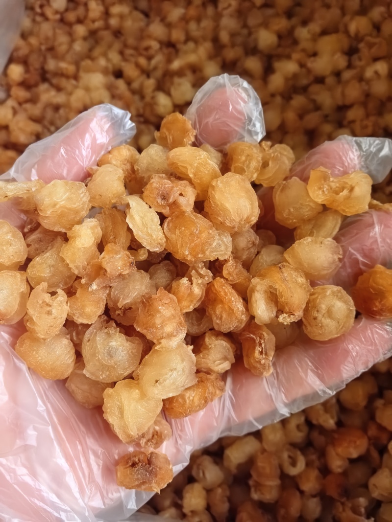 源头工厂批发广西博白精品桂圆肉无硫自然烘干无核龙眼肉多品种