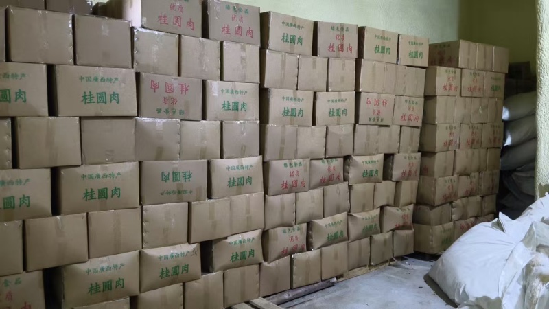 源头工厂批发广西博白精品桂圆肉无硫自然烘干无核龙眼肉多品种