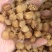 源头工厂批发广西博白精品桂圆肉无硫自然烘干无核龙眼肉多品种