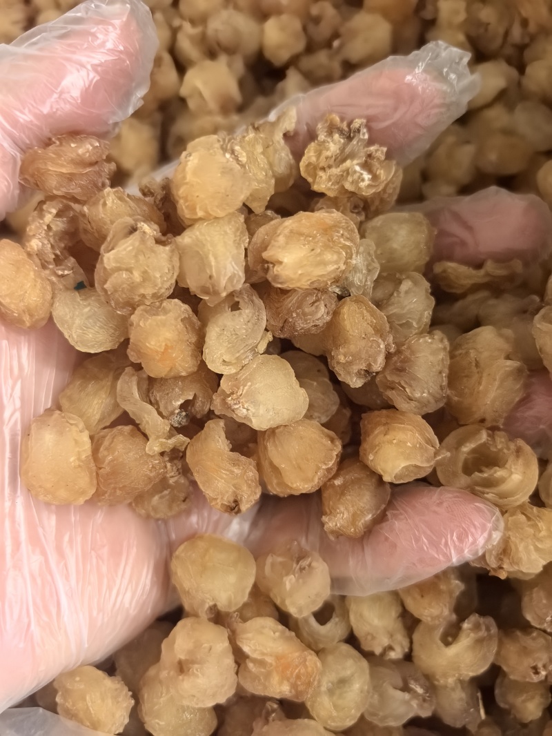 源头工厂批发广西博白精品桂圆肉无硫自然烘干无核龙眼肉多品种