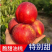 （陕西油桃）中油油桃/脆油桃/曙光/品种齐全/包售后