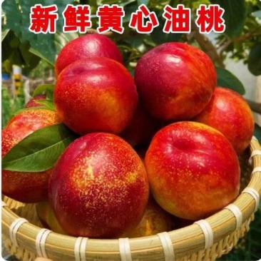 （曙光油桃）陕西油桃/接电商，可开发票/欢迎来电合作