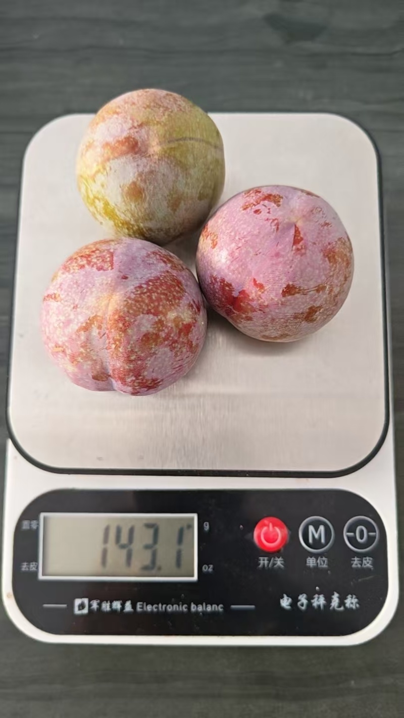 韶关三华李，市场货，工厂原料，多多买菜电商，主播一件代发