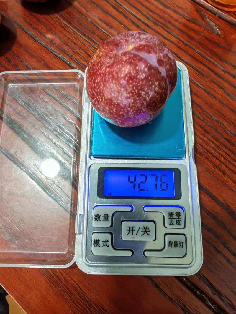 韶关三华李，市场货，工厂原料，多多买菜电商，主播一件代发