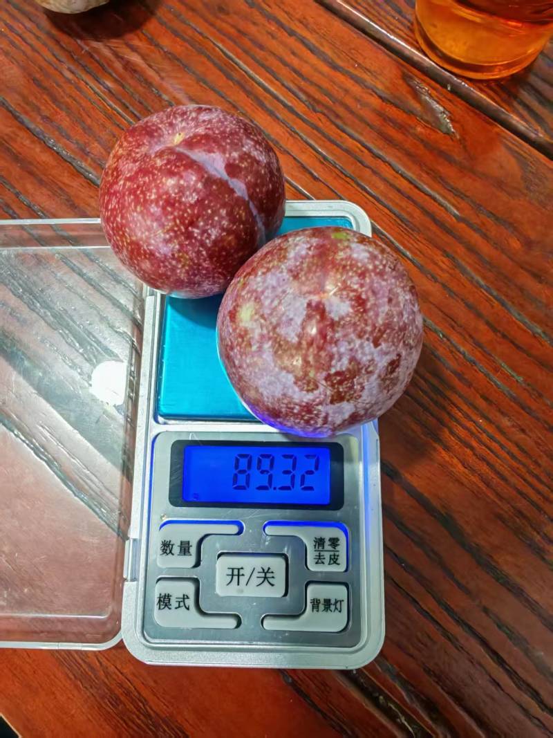 韶关三华李，市场货，工厂原料，多多买菜电商，主播一件代发