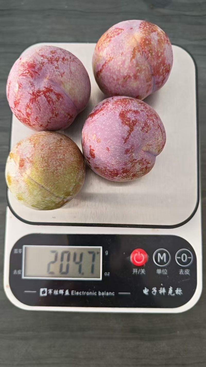 韶关三华李，市场货，工厂原料，多多买菜电商，主播一件代发