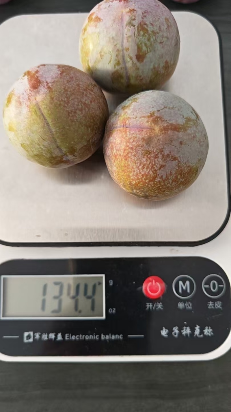 韶关三华李，市场货，工厂原料，多多买菜电商，主播一件代发