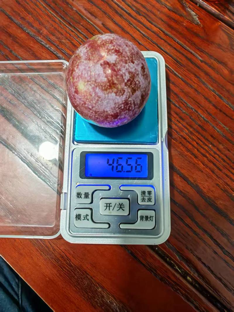 韶关三华李，市场货，工厂原料，多多买菜电商，主播一件代发