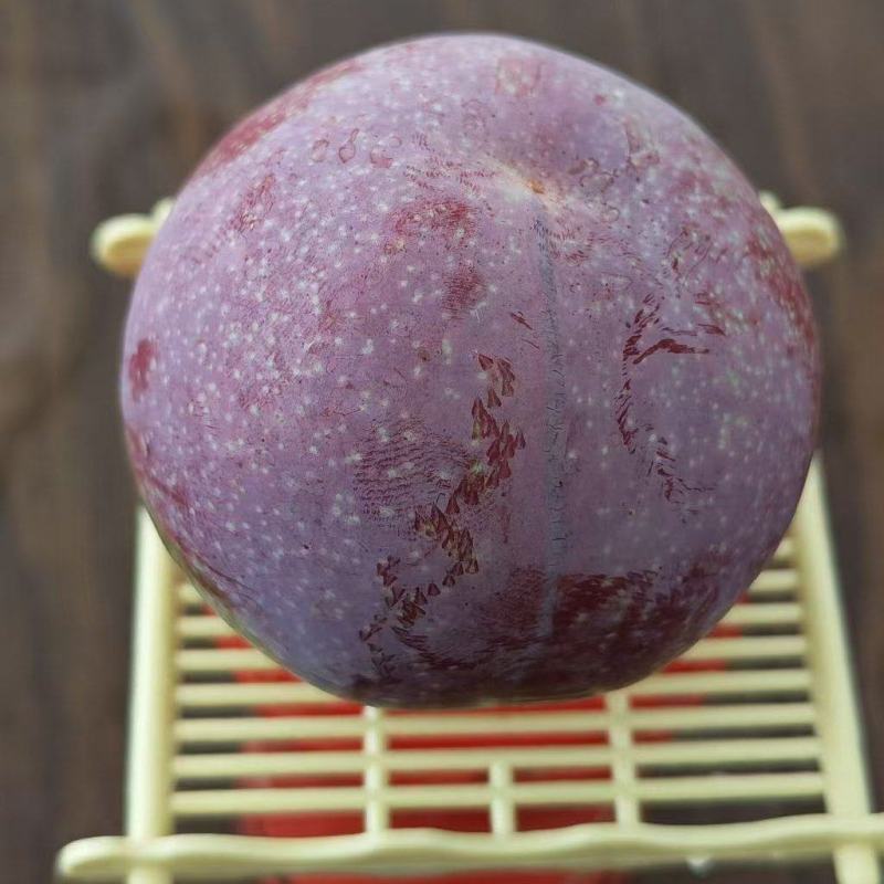 韶关三华李，市场货，工厂原料，多多买菜电商，主播一件代发