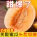 （金红宝蜜瓜）民勤蜜瓜/对接电商/可开发票/全国供应批发