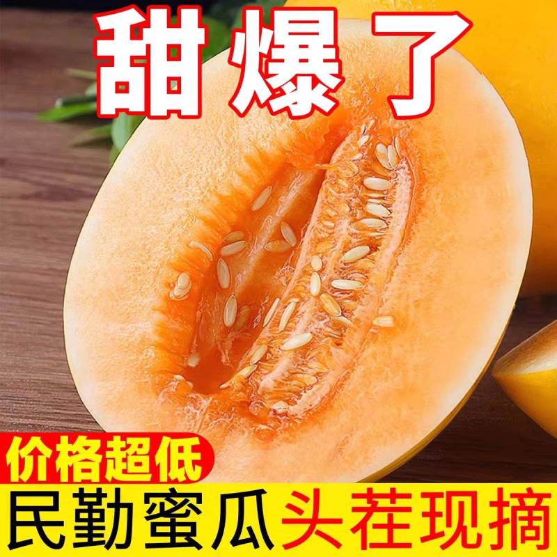 （金红宝蜜瓜）民勤蜜瓜/对接电商/可开发票/全国供应批发