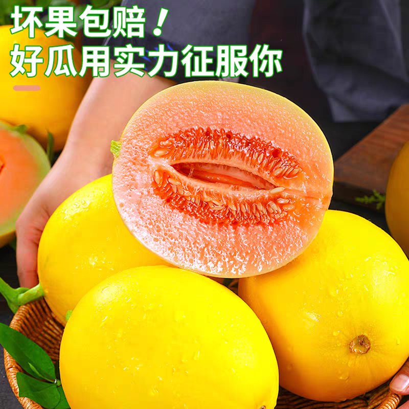（金红宝蜜瓜）民勤蜜瓜/对接电商/可开发票/全国供应批发