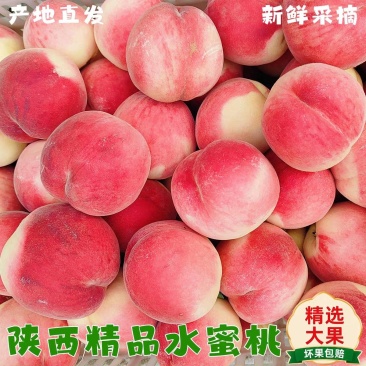 （陕西水蜜桃）突围桃/产地直发/对接电商，可开发票