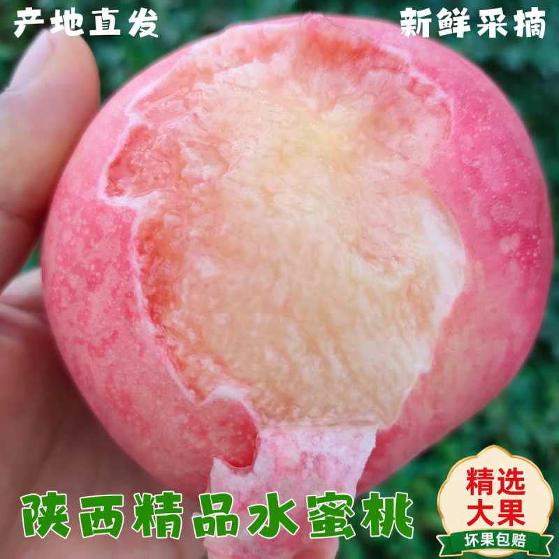 （陕西水蜜桃）突围桃/产地直发/对接电商，可开发票