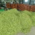 精品翠绿宝毛豆，大量有货，有需要的老板欢迎咨询
