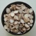 中药材批发白芍无硫新货正品白芍统货500g