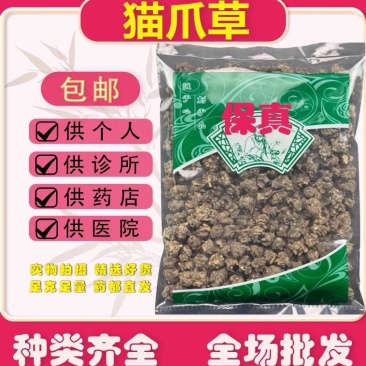 正品野生猫抓草水洗毛爪草