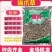 正品野生猫抓草水洗毛爪草