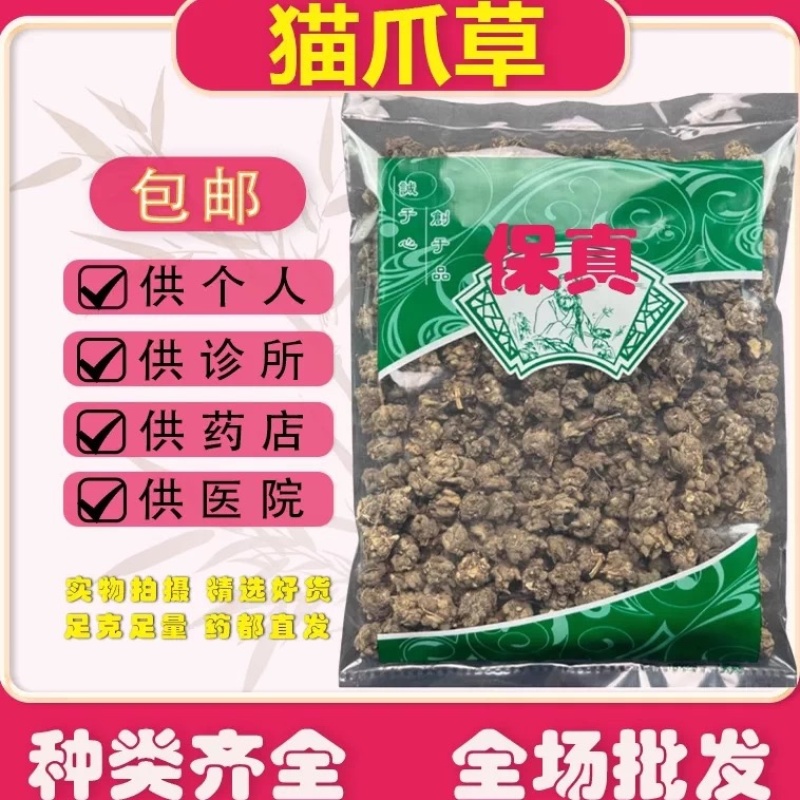 正品野生猫抓草水洗毛爪草