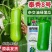 泰秀8号瓠瓜种子早熟杂交油绿蒲瓜种子短棒油亮瓠子瓜种籽