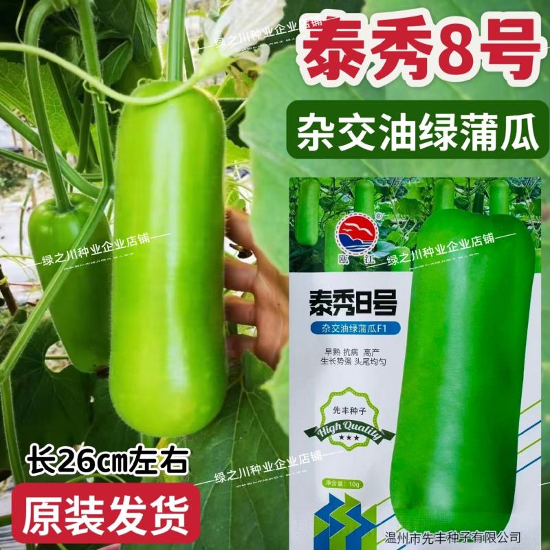 泰秀8号瓠瓜种子早熟杂交油绿蒲瓜种子短棒油亮瓠子瓜种籽