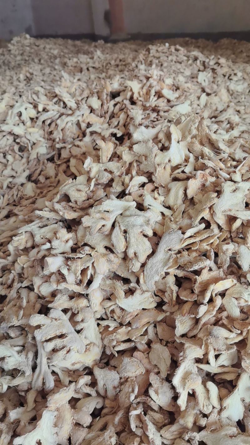 精品干姜片儿云南姜片大量供应对接各大商超市场一手货