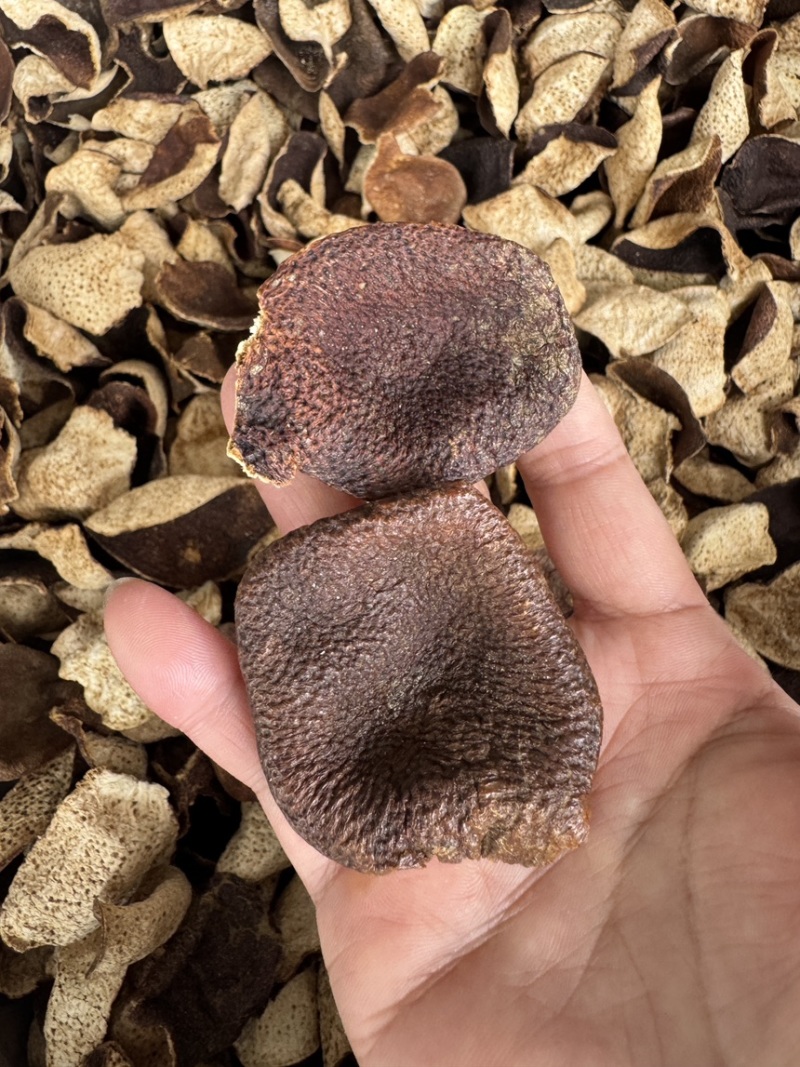 新会大红陈皮碎断皮果农皮角皮干仓茶枝柑陈皮批发价