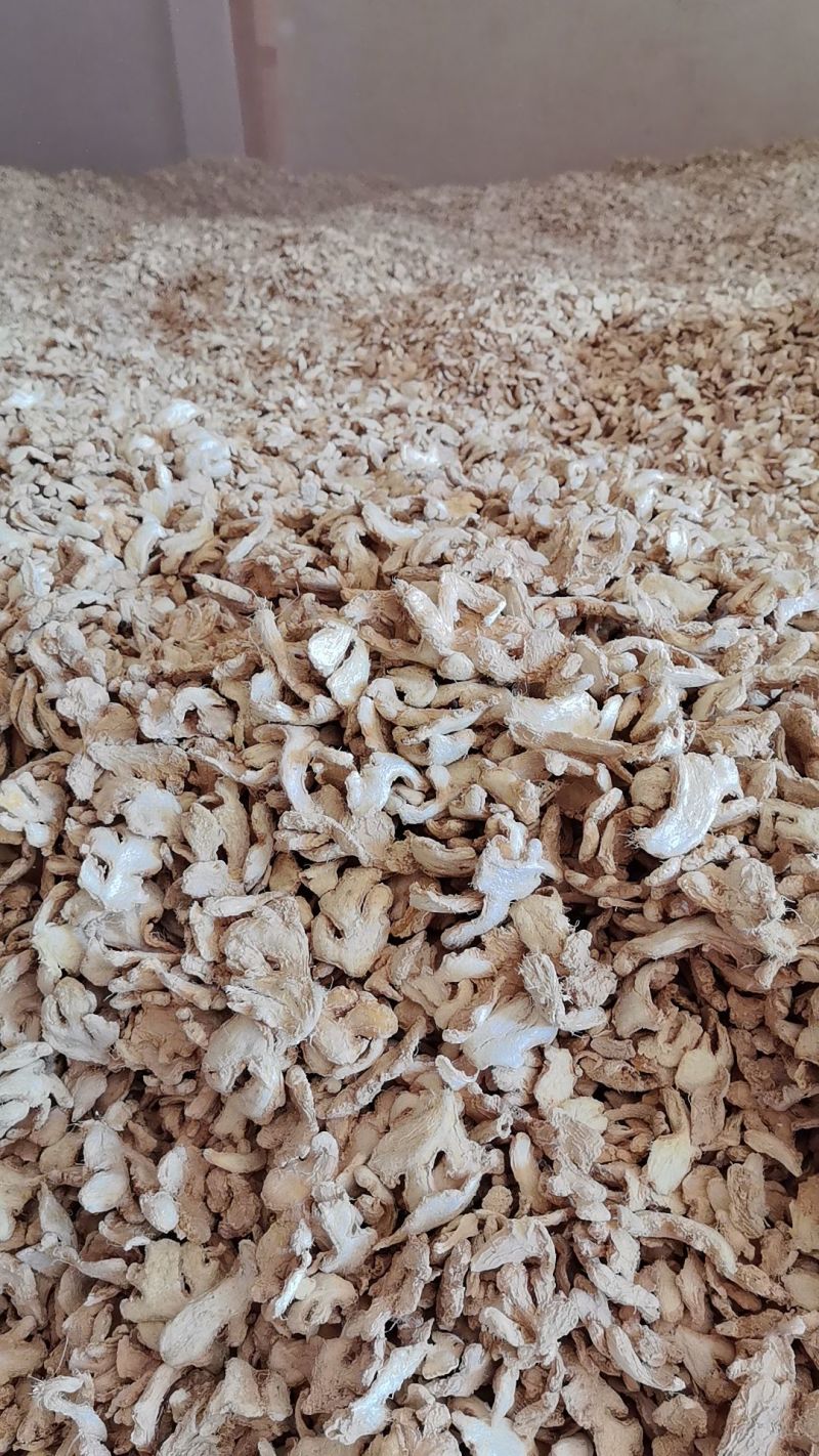精品干姜片儿云南姜片大量供应对接各大商超市场一手货