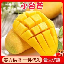 【一件代发】海南小台芒