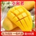 【一件代发】海南小台芒