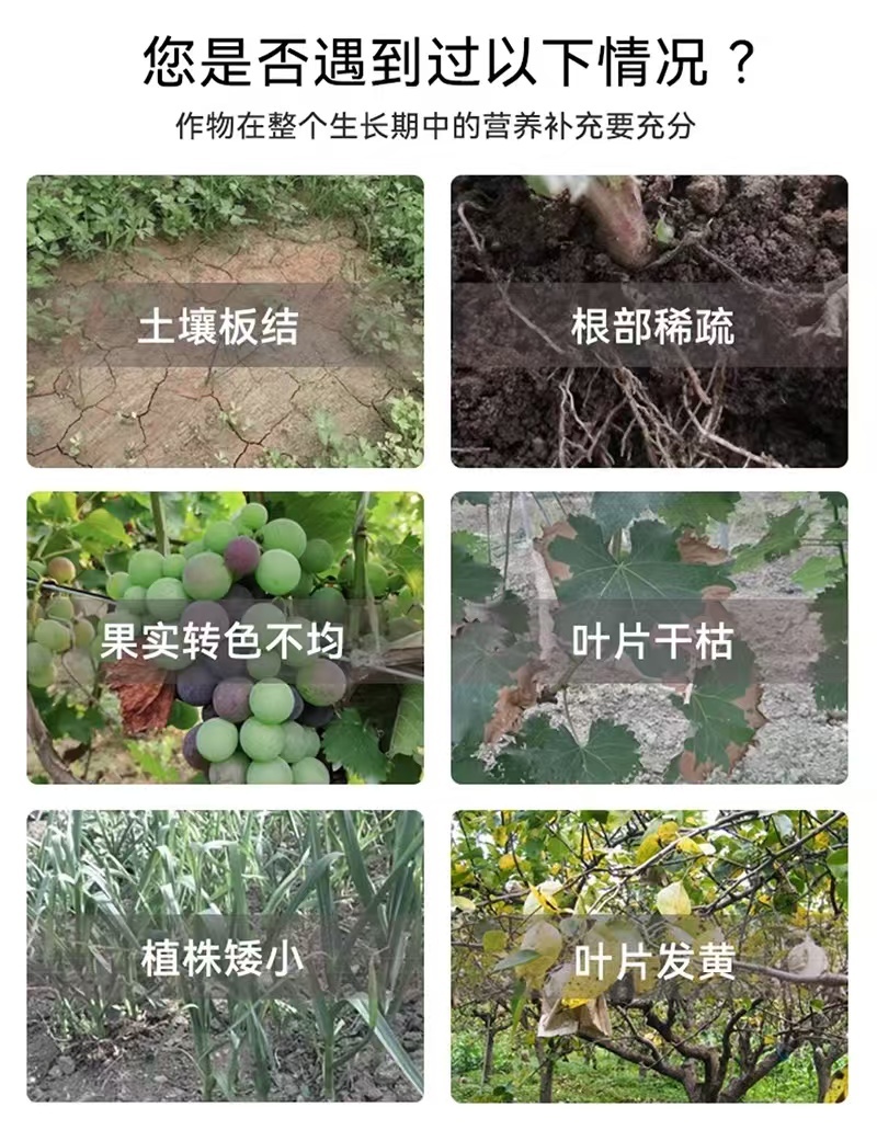 含腐植酸大量元素水溶液体三效合一有机+无机+微量元素效果