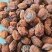 杏干杏皮泡茶饮料