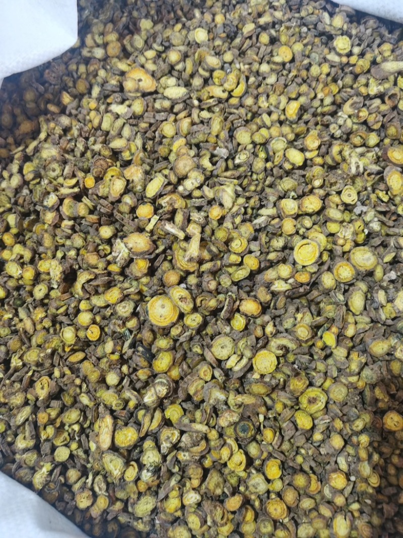 批发新货黄芩正品黄芩