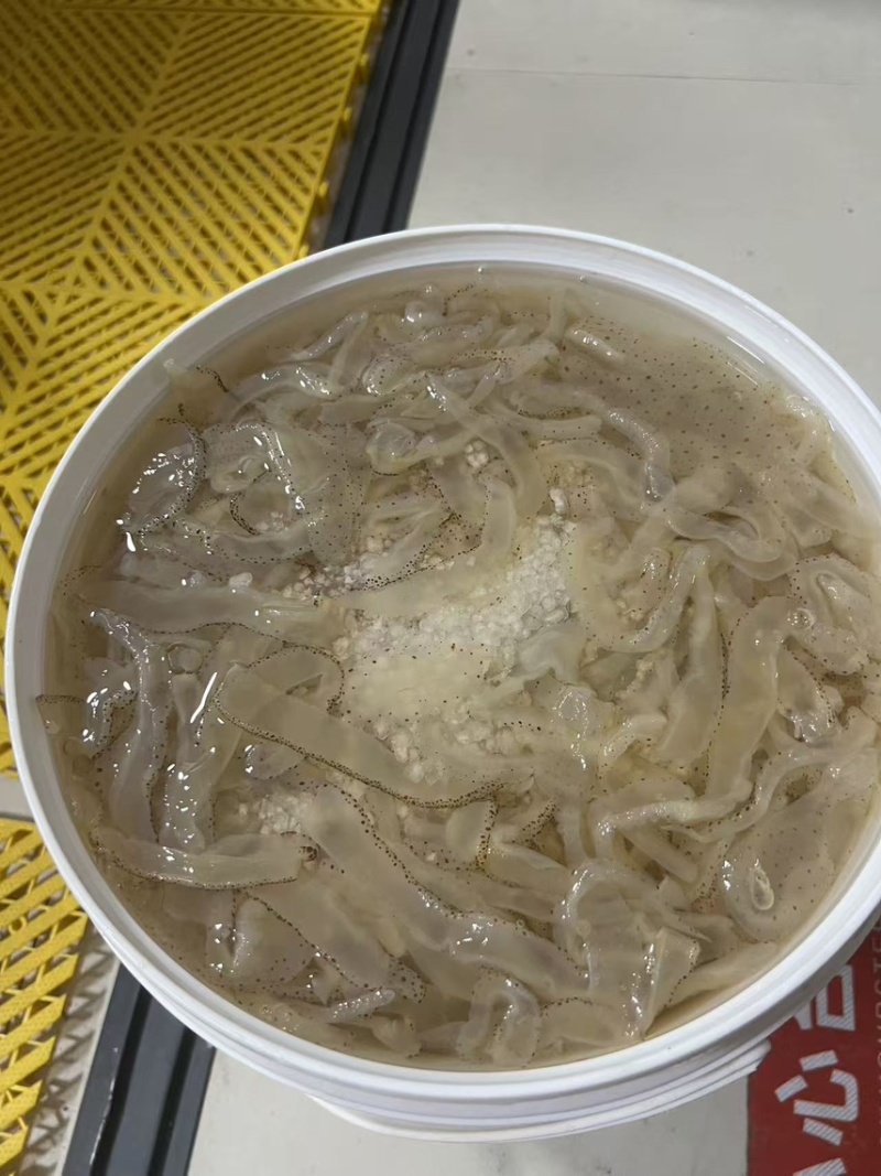 盐渍海蜇丝（广西东兴）