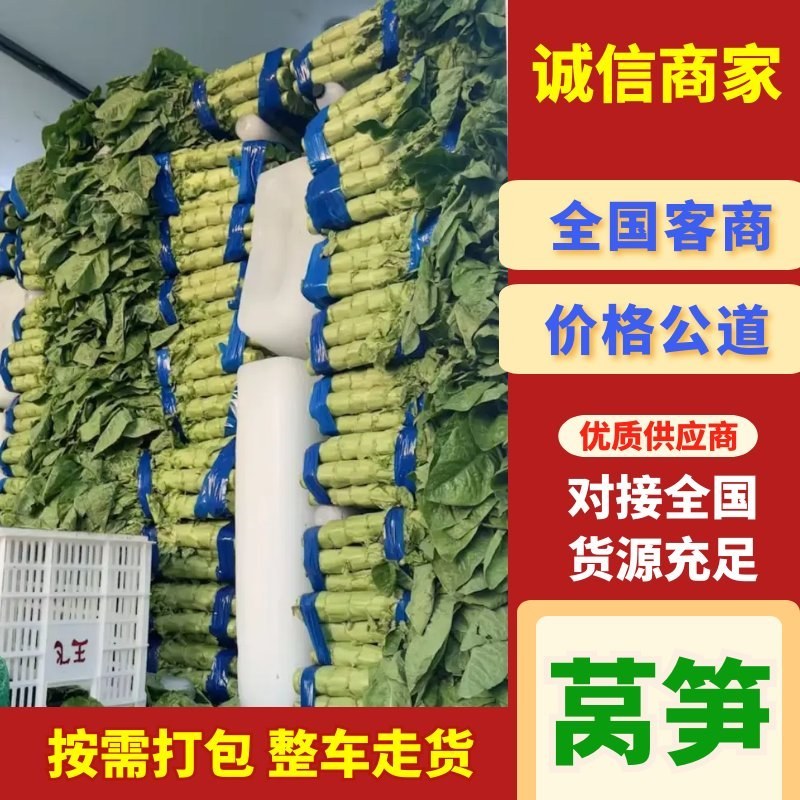 莴笋莴苣品质保证货源充足诚信经营欢迎来电洽谈