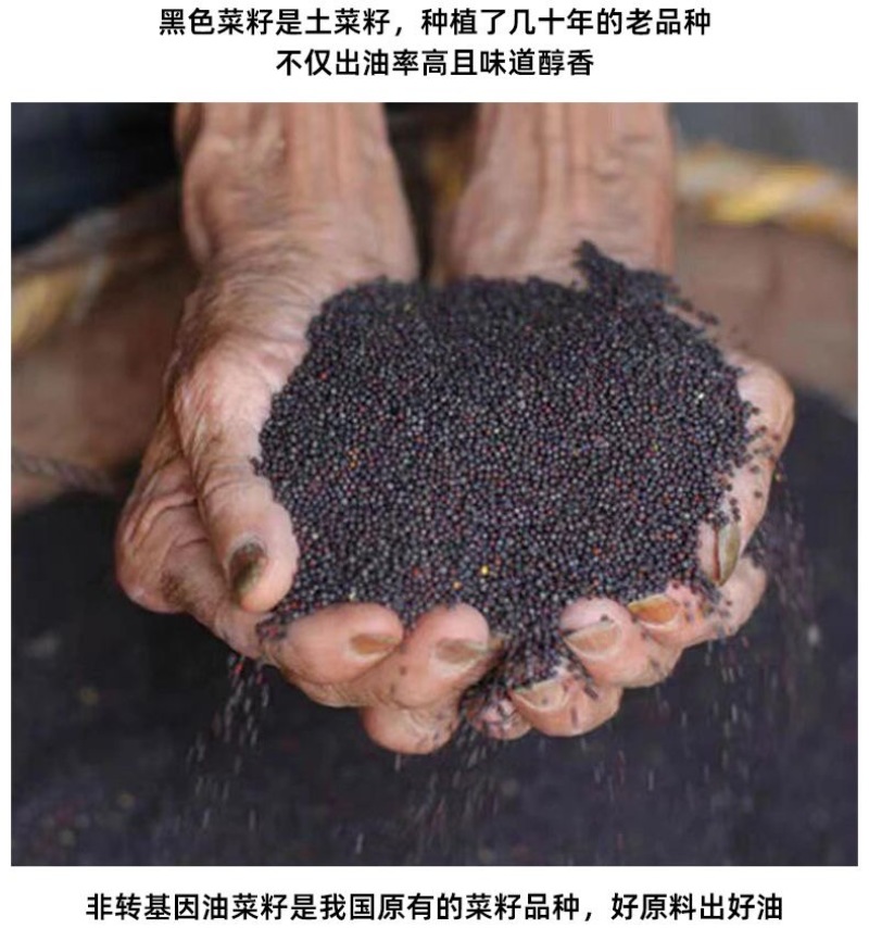 鑫福门压榨浓香菜籽油